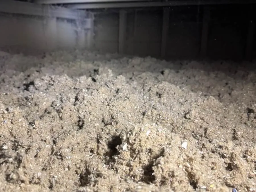 Cellulose insulation installation for energy efficiency