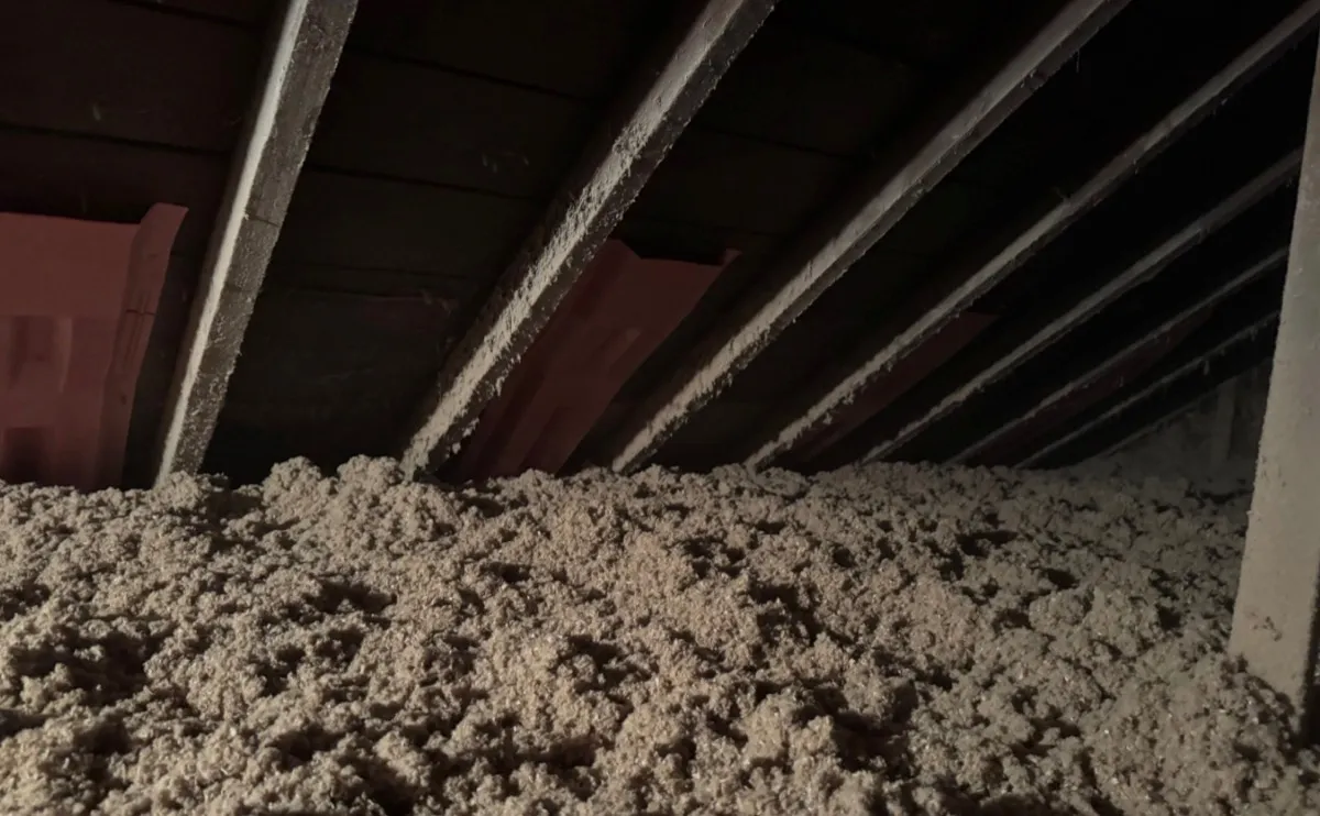 Close-up of cellulose insulation material showing dense fiber texture in attic