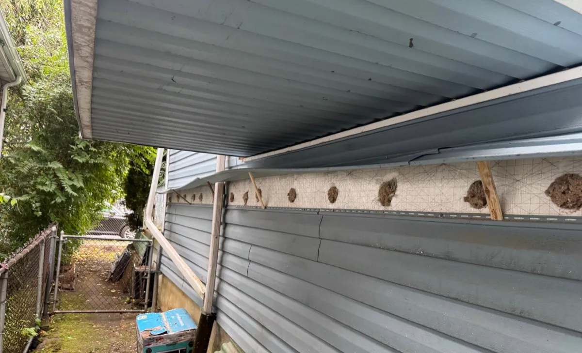 Exterior of NYC home showing drill holes for cellulose wall cavity insulation - NY Energy Project