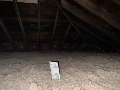 Photo from a customer review