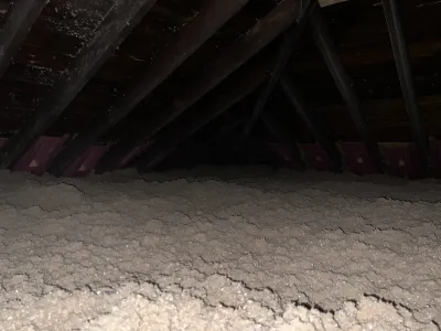 Photo from a customer review