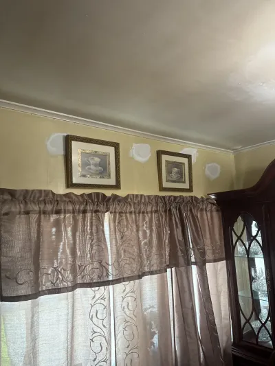 Photo from a customer review