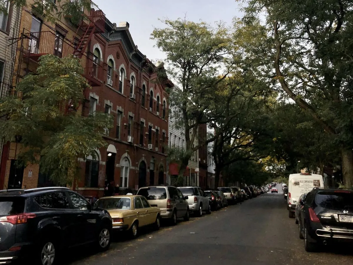 Brooklyn brownstone row houses on a tree-lined street