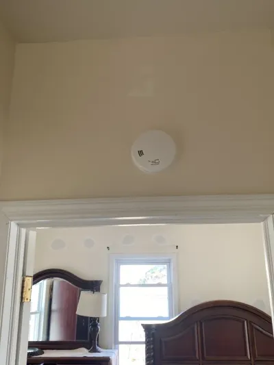 Photo from a customer review