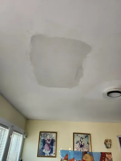 Photo from a customer review