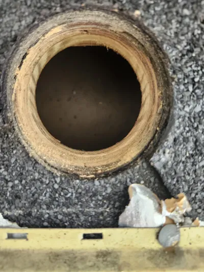 Photo from a customer review