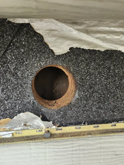 Photo from a customer review