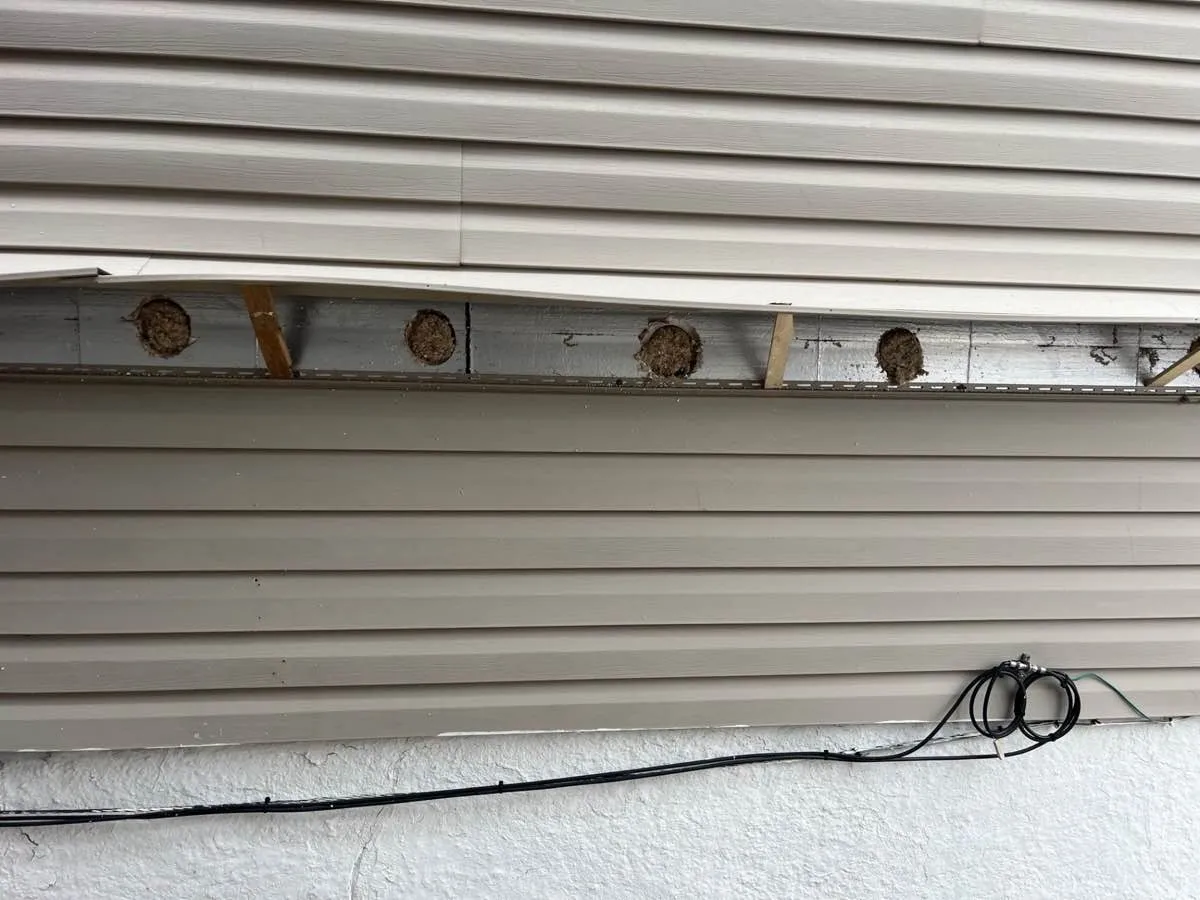 Exterior wall with siding pulled back showing cellulose insulation packed into drill holes along wall cavity - NY Energy Project