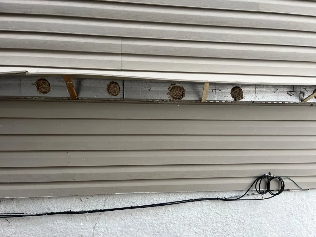 Exterior wall with siding pulled back showing cellulose insulation packed into drill holes along wall cavity - NY Energy Project